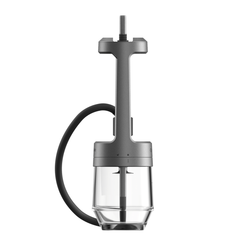 Chicha Quasar Arguillé