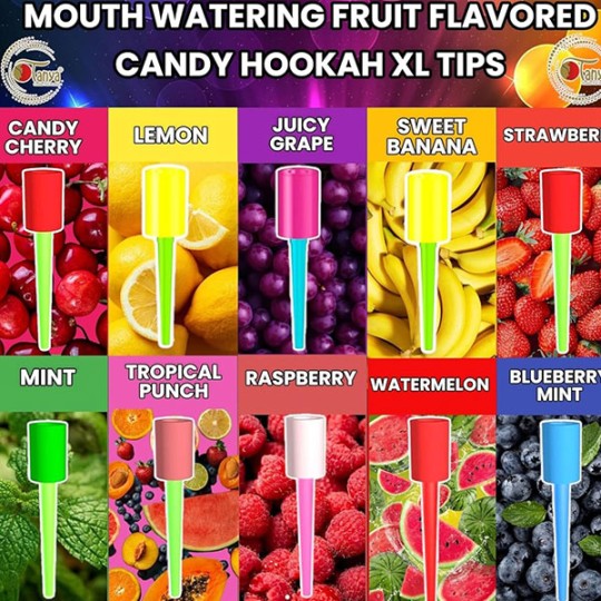 Embouts Chicha Lolly Pop Candy Tips – Jetables & Gourmands PACK 25 PCS