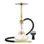 MS ZENITH - Chicha traditionnelle et moderne