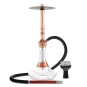 MS ZENITH - Chicha traditionnelle et moderne