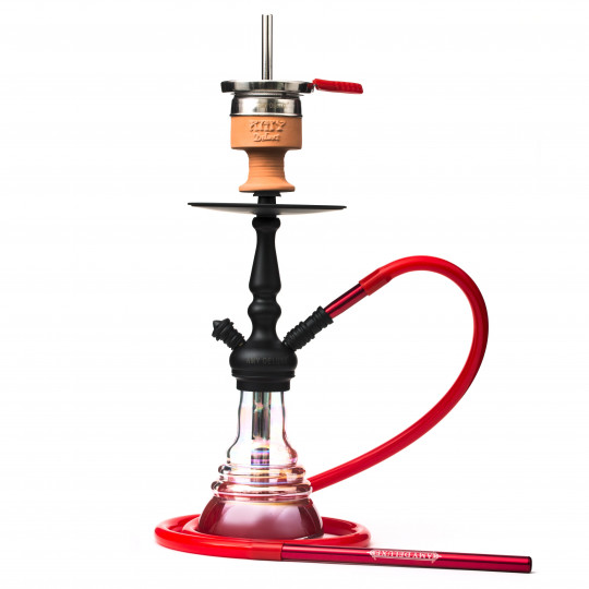 CHICHA AMY DELUXE 340 LITTLE ZURI V2